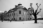 _MG_0730.JPG