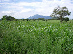Road to Kidepo National Park