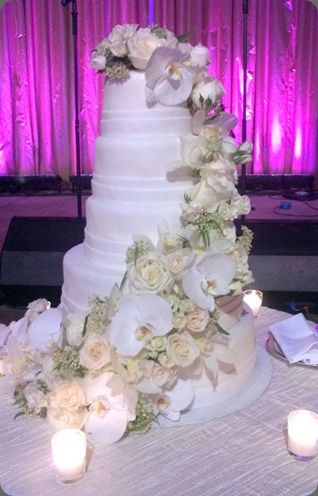 2011-07-03_18-49-10_244 tantawan bloom 2011-07-03_18-49-10_244 tantawan bloom