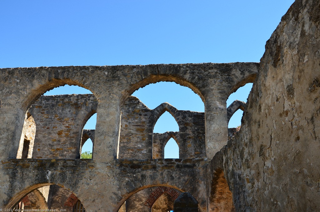 [DSC_37126.jpg]