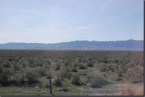 DSC_0611 DSC_0611