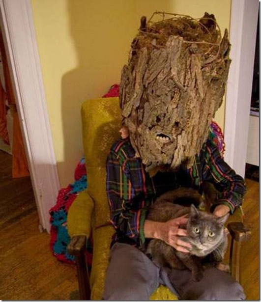 strange-cats-expain-that-07