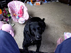 DSCF8402.JPG