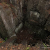 dsc05139.jpg