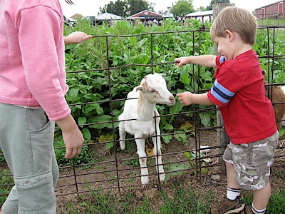 IMG_8036.JPG