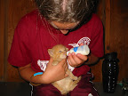 Caring for a companion animal is the first parenting experience for most children.