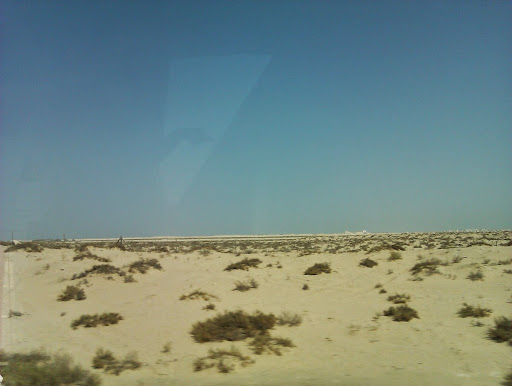 DXB01.jpg