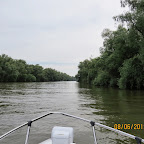 IMG_0305.JPG