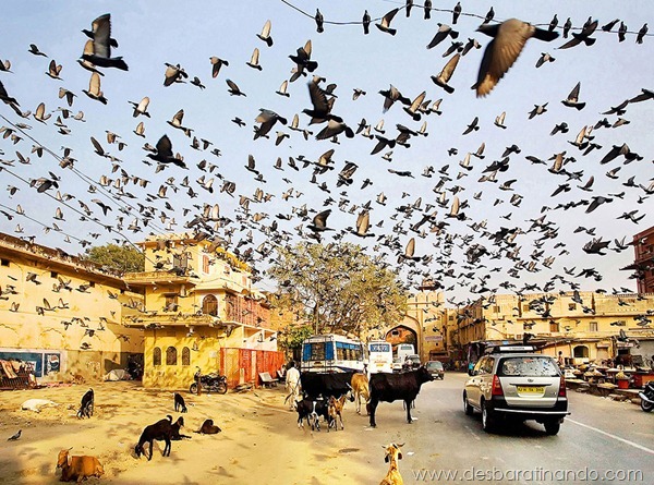 sony-world-photography-awards-2013-22 sony-world-photography-awards-2013-22