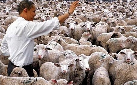 [obama-with-sheep%255B4%255D.jpg]