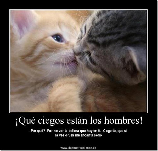 el amor es ciego (17) el amor es ciego (17)