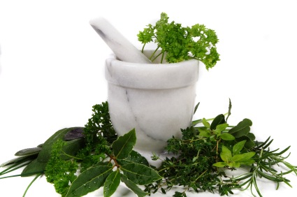 [naturalherbalremedy%255B2%255D.jpg]