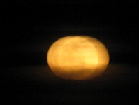 IMG_3082 IMG_3082