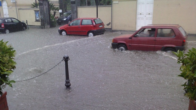 [foto%252013%255B5%255D.jpg]