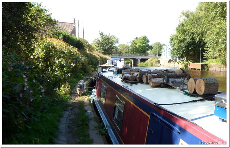 SAM_3167 Boroughbridge Moorings