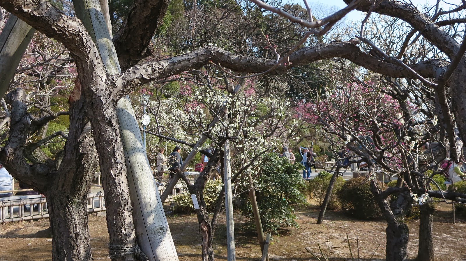 [IMG_0423%255B3%255D.jpg]
