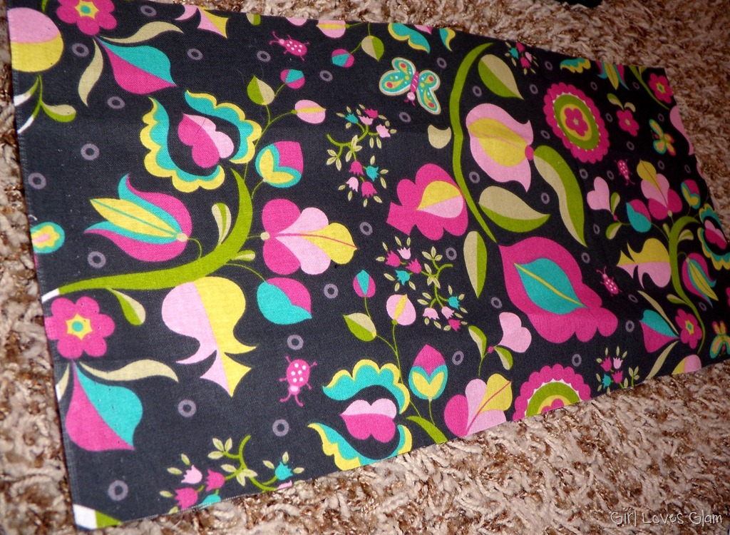 [ipadcase16%255B3%255D.jpg]