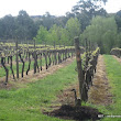 Chef-led journey through the Mornington Peninsula nine IMG_1605.jpg