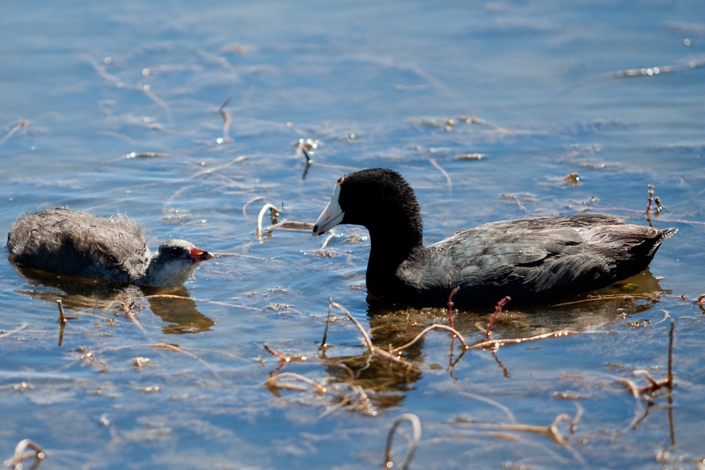 [20130625-IMG_2424%255B4%255D.jpg]