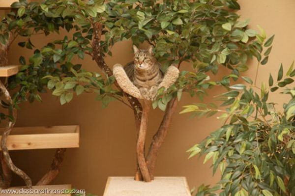 Unique-Cat-Tree-Houses-from-Pet-Tree-House-5_- Unique-Cat-Tree-Houses-from-Pet-Tree-House-5_-