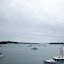 IMG_5290.jpg