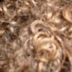 S6304136.JPG