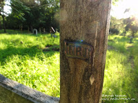 Cmentarz przy ul. Samotnej w Poznaniu