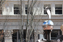 IMG_1145