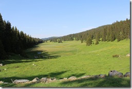 Les marais de la combe d'Ambrunex : la dernière population suisse du saxifrage à oeil de bouc (Saxifraga hirculus), relicte boréo-articque, y est protégée. En France, la seule population viable se trouve dans les marais de Bannans (25). Les marais de la combe d'Ambrunex : la dernière population suisse du saxifrage à oeil de bouc (Saxifraga hirculus), relicte boréo-articque, y est protégée. En France, la seule population viable se trouve dans les marais de Bannans (25).