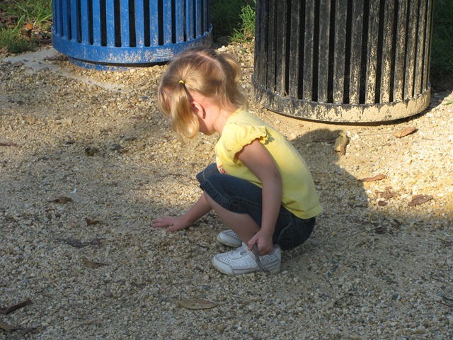 [IMG_3320%255B2%255D.jpg]