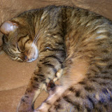 IMAG0175.jpg