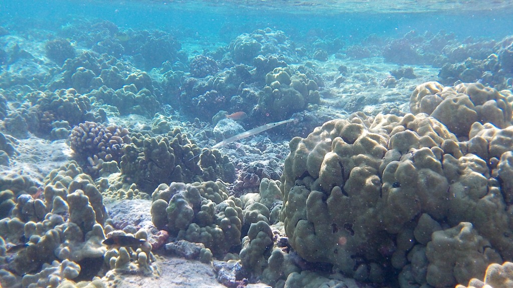 [20121217-100_06804.jpg]