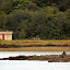 One Of The Few Remaining "Baches" Or Holiday Homes On Rangitoto - Auckland, New Zealand