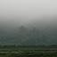 P1100044.JPG