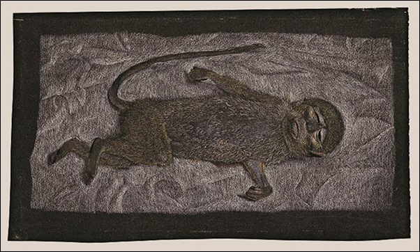 Lucian Freud - Dead Monkey