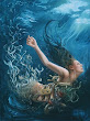 Heidi Taillefer