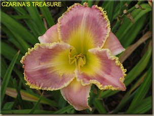 CZARINAS_TREASURE_f CZARINAS_TREASURE_f