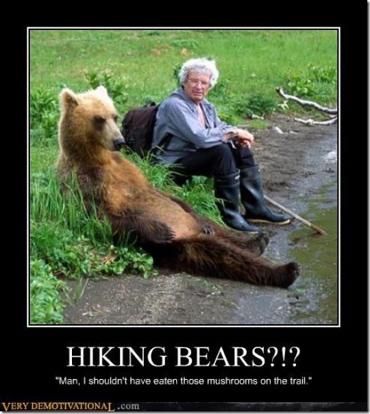 new nyc subway automobiles