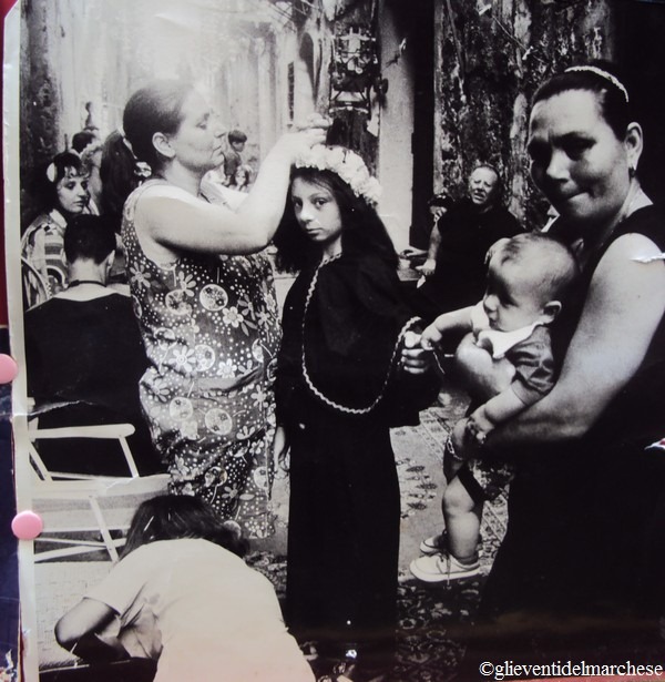 [DSC03361%255B4%255D.jpg]