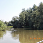 DSCN9343.JPG