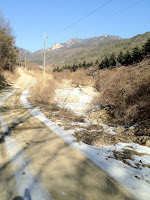 IMG_0200.jpg Photo