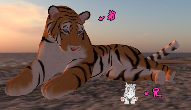 [tiger3%255B3%255D.jpg]