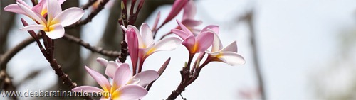 wallpapers dual screen duas telas desbaratinando (50) wallpapers dual screen duas telas desbaratinando (50)