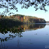 dsc05845.jpg