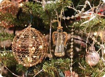 IMG_0015 IMG_0015