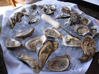 A variety of oysters from all over the country.