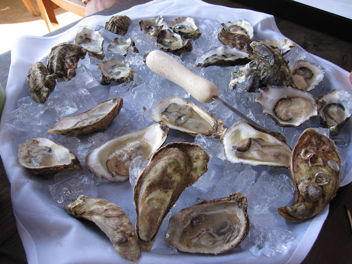 A variety of oysters from all over the country.