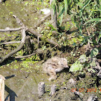 DSCN9535.JPG