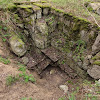 dsc05115.jpg