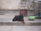 PICT0690.JPG